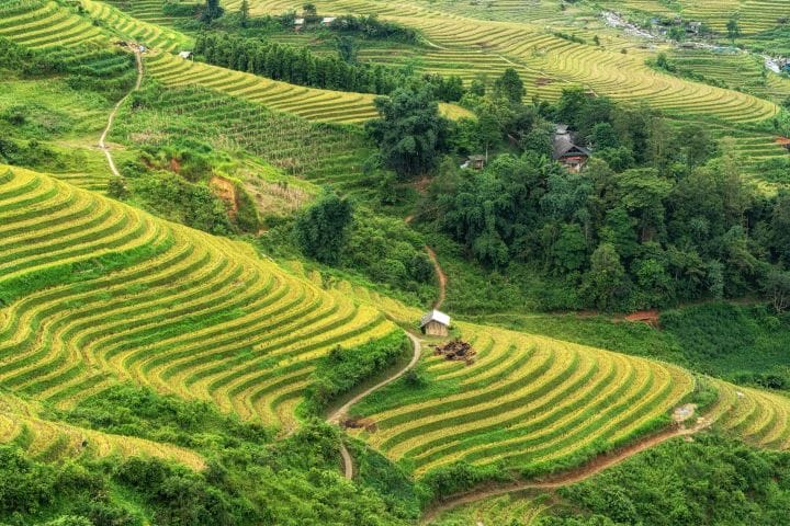 What to Eat in Sapa: A Travey Club Food Guide You’ll Actually Use