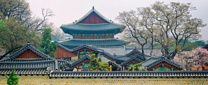 Seoul in 3 Days: The Travey Club Signature Itinerary