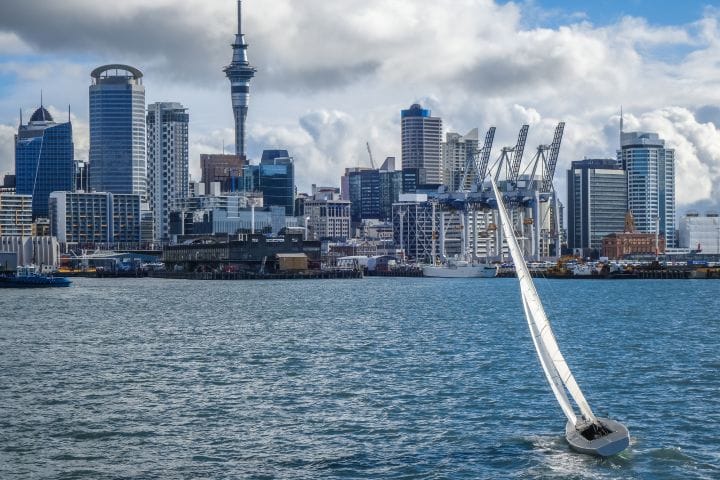 Top Activities to Do in Auckland: A Travey Club Guide
