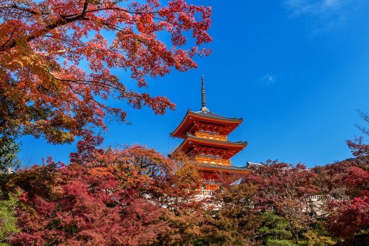 Top Activities to Do in Kyoto, Japan: A Travey Club Guide to the City's Most Memorable Experiences