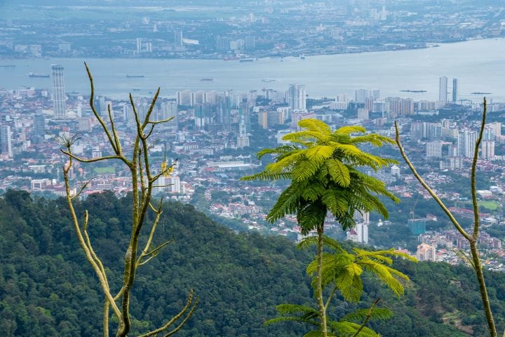 Top 15 Things to Do in Penang Island: A Travey Club Guide