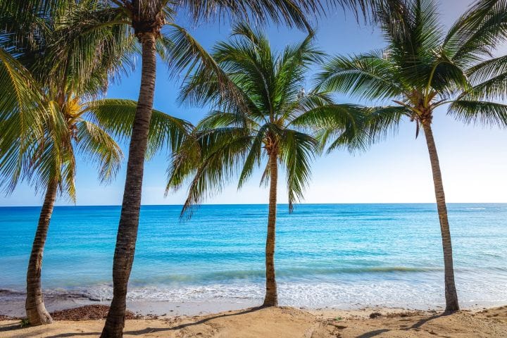 8 Days in Jamaica for Couples: A Romantic Trip from Montreal
