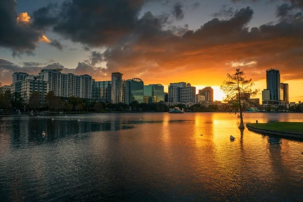 Where to Stay in Orlando: The Best Areas and Hotels for Every Type of Traveler