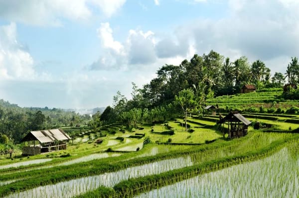 Top Activities to Do in Bali: From Denpasar's Culture to Uluwatu's Cliffs
