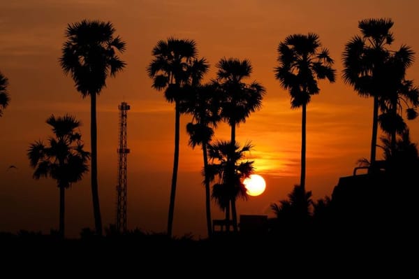 Chennai in 3 Days: A Travey Club Signature Itinerary