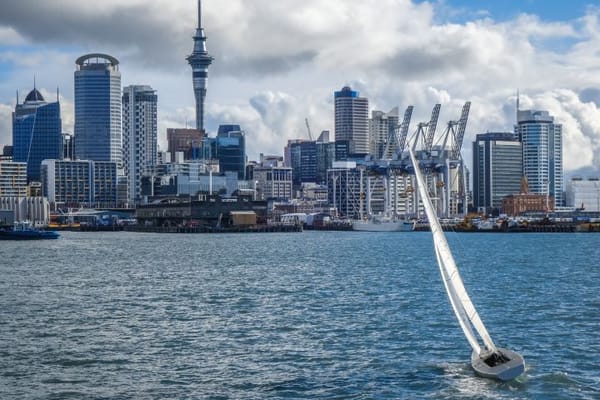 Top Activities to Do in Auckland: A Travey Club Guide