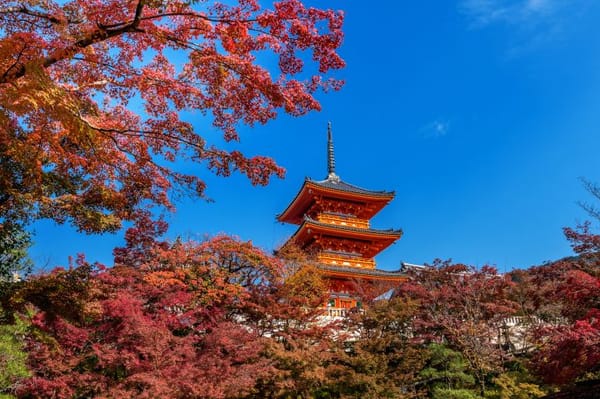 Top Activities to Do in Kyoto, Japan: A Travey Club Guide to the City's Most Memorable Experiences