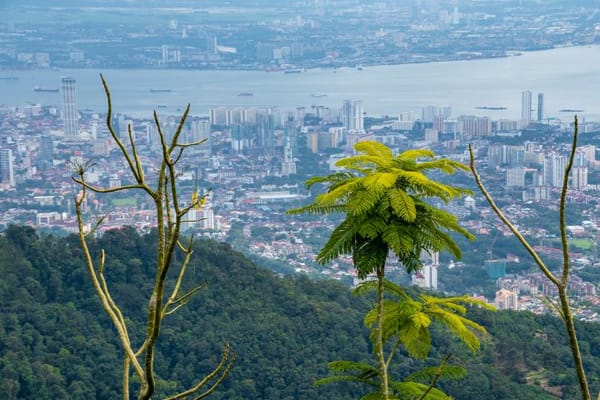 Top 15 Things to Do in Penang Island: A Travey Club Guide