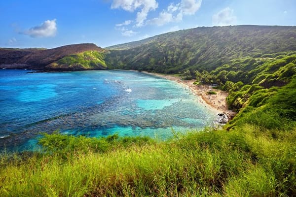 Top Foods to Eat in Honolulu, Hawaii: A Travey Club Guide
